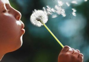 child-blowing-dandelion