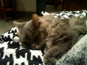 230193_2022761495653_1442440250_32355305_7909094_n(1)