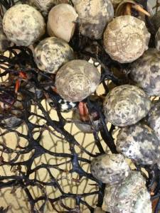 1149057_10201921502226162_1029357707_n