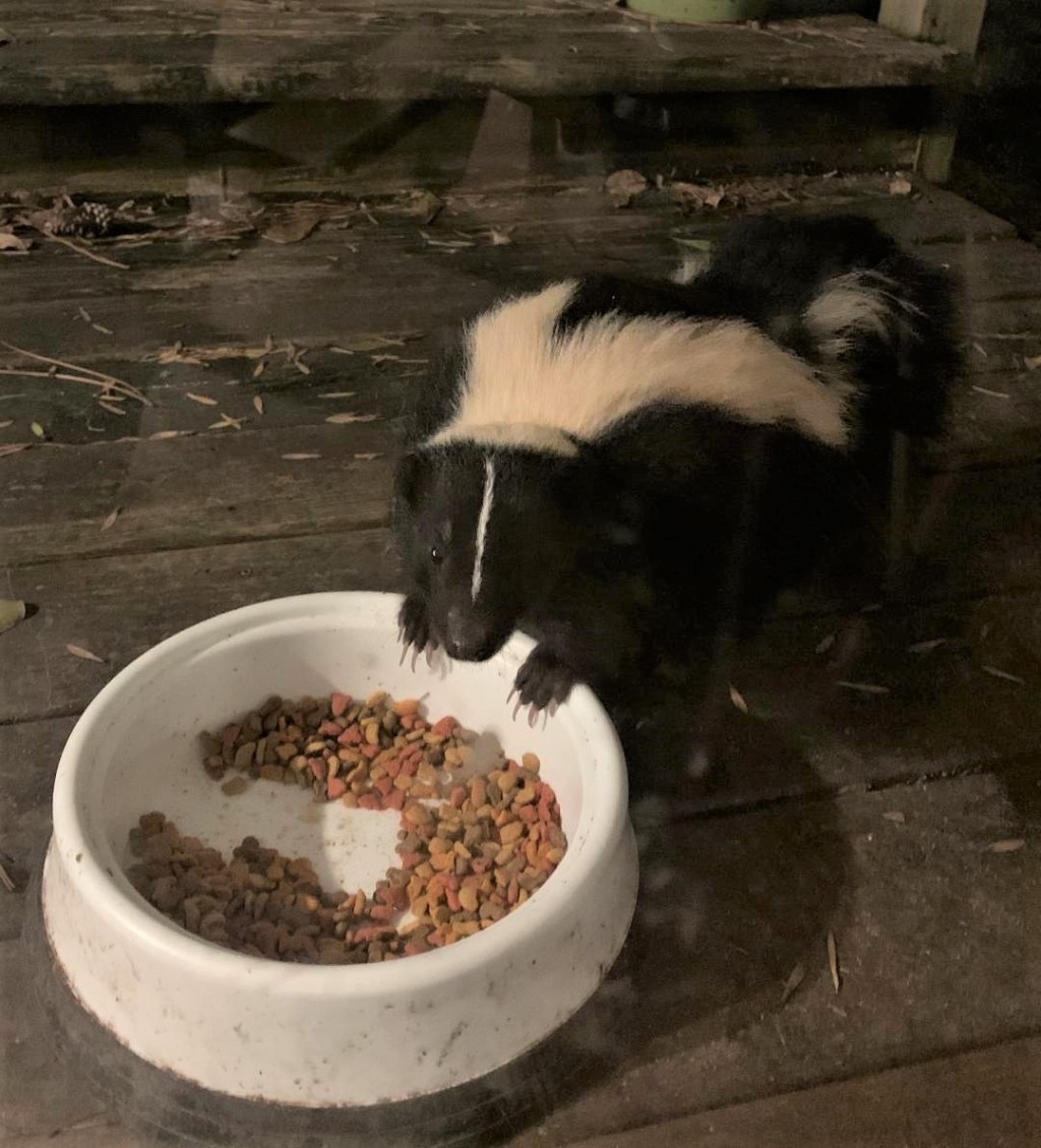 Share with your&nbsp;neighbor…