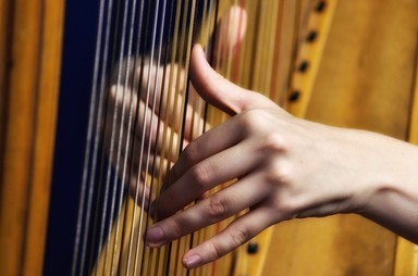 Notes from the&nbsp;Harp